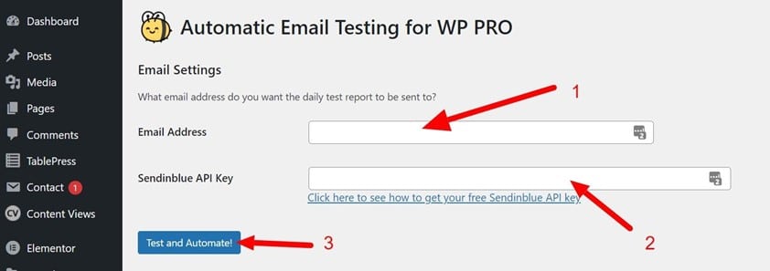 Automatic Email Testing for WP PRO plugin settings configuration
