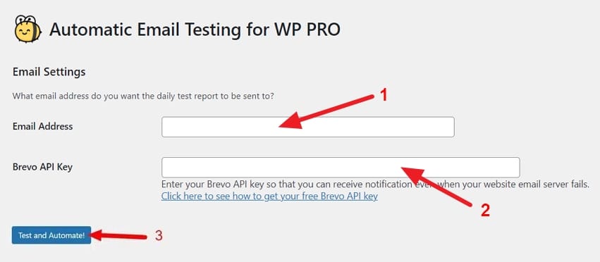 Automatic Email Testing for WP PRO plugin settings page